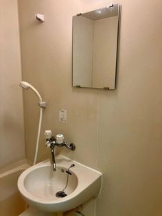 パルナシウスの画像