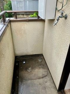 パルナシウスの画像