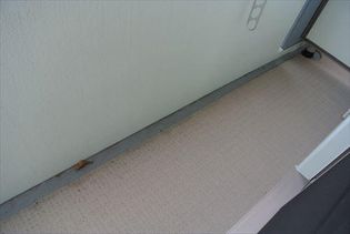 ペパーミントのベランダ