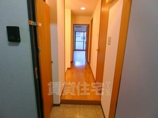 フィップロードの画像