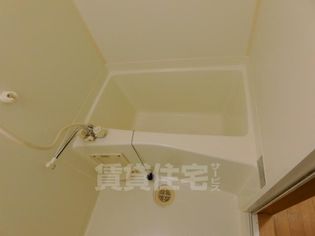 フィップロードの画像