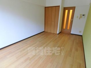 フィップロードの画像