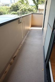 ネストクレールの画像