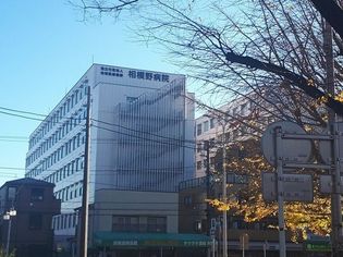 相模野病院(病院)まで550m