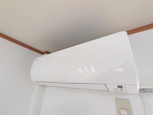 フォレストブライトの画像