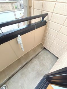 フォレストブライトの画像