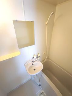 フォレストブライトの画像