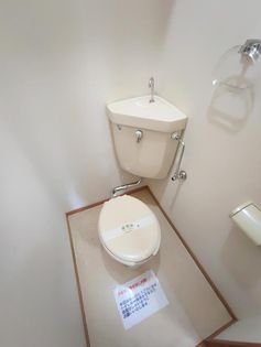 フォレストブライトの画像