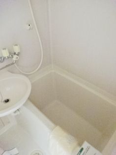 ヴェルデン花の木の画像