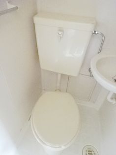 ヴェルデン花の木の画像