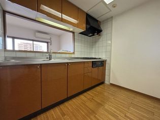 藤和ハイタウンルネポート宇品のシステムキッチン
