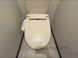 レオネクスト寺本の画像