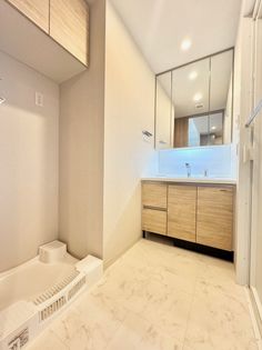 ワコーレ神戸みなと元町の3面鏡洗面化粧台