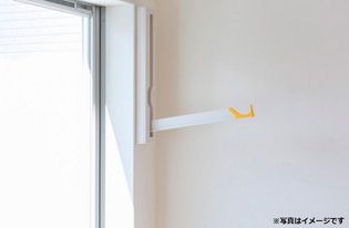 リガヤ・グリエラの画像