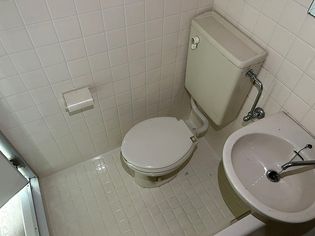 プロスパコートの参考写真。