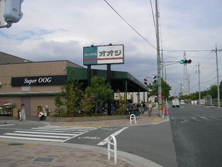 スーパーオオジ伊丹店(スーパー)まで1041m
