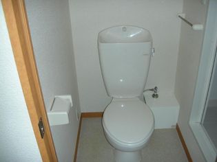 レオパレスHAYAのトイレ