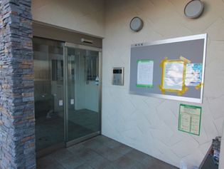 ハイパー桜の画像