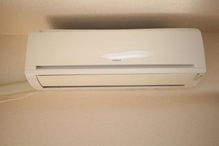 パーソンズ本原の画像