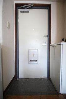 パーソンズ本原の画像