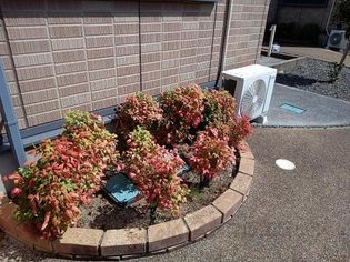 ボナールゲートの画像