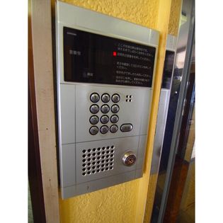 エバーグレイス分倍の画像