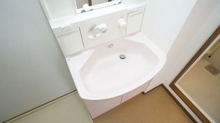 ル・ド・ソレイユのシャンプードレッサー