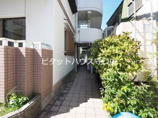 ヴィオス9の画像