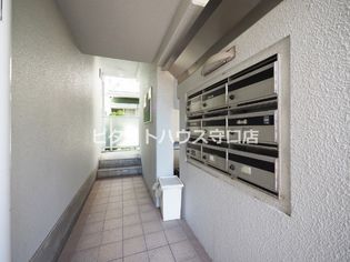 ヴィオス9の画像