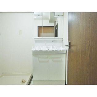 スタスィオン滝の水の画像