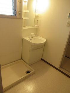 グリーンハイツ津島のシャンプードレッサー