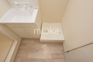 みおつくし桑津のゆったりとスペースのある洗面所