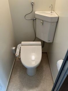 エクセルバードの画像