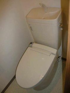 Blue Squareの画像