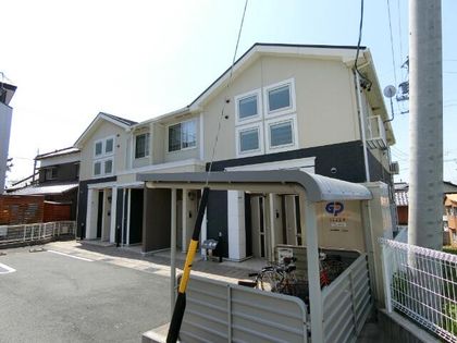 セラー養神の画像