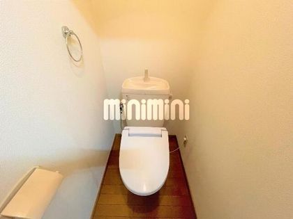 パレスツイン Aの画像