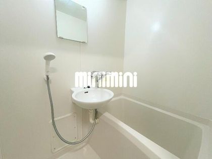 パレスツイン Aの画像