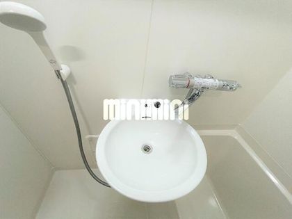 パレスツイン Aの画像