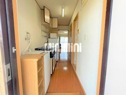 パレスツイン Aの画像