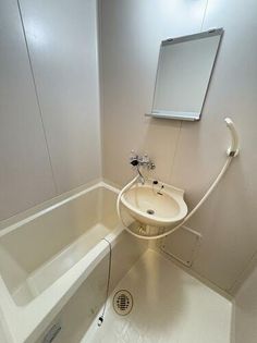 パルウェーブの画像