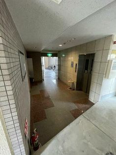 パルウェーブの画像