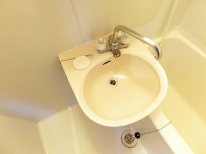 シティパレス狭山の画像