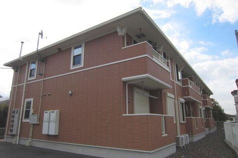 ライグッドⅡの画像