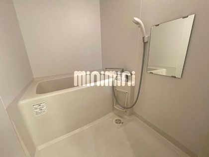 IWATSUKA RISE(岩塚ライズ)のクローゼットと収納棚