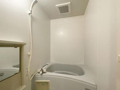 グリーンリーフの画像