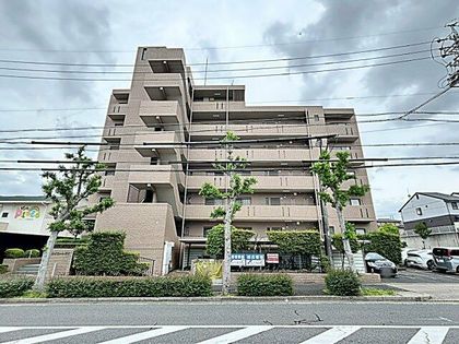スカイコートウスイの画像
