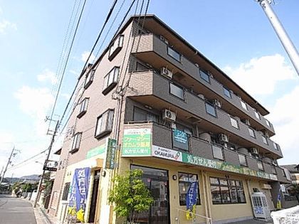 ロイヤル・ハミルトンの画像