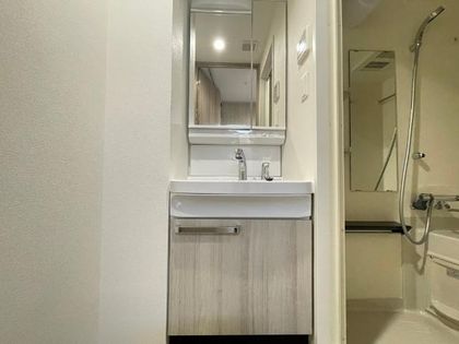 プレサンス上前津エレスタの洗髪洗面化粧台