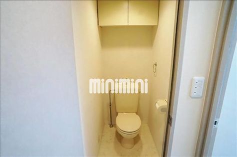 グリーンリーフの画像