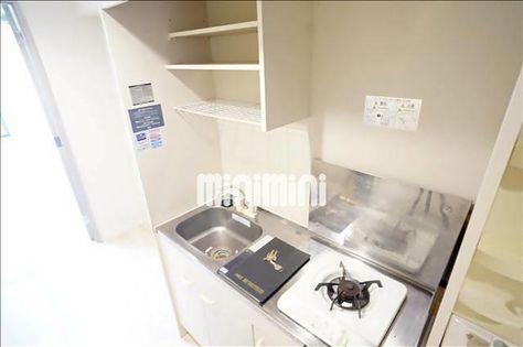 グリーンリーフの画像